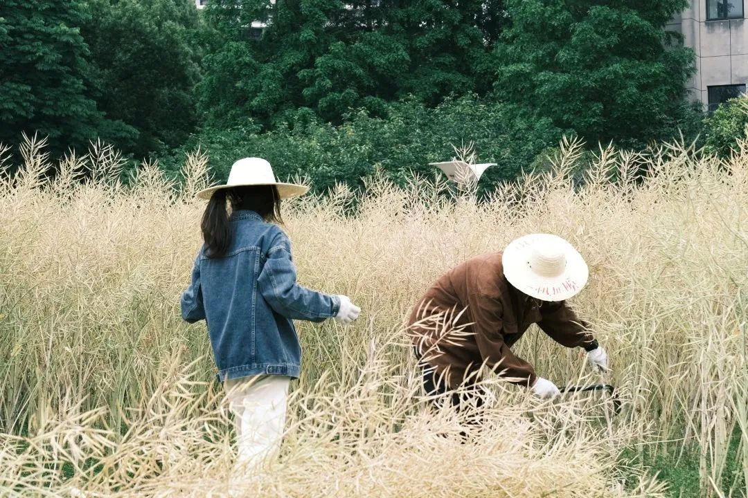 微信图片_20230516213621.jpg 微信图片_20230516213621.jpg